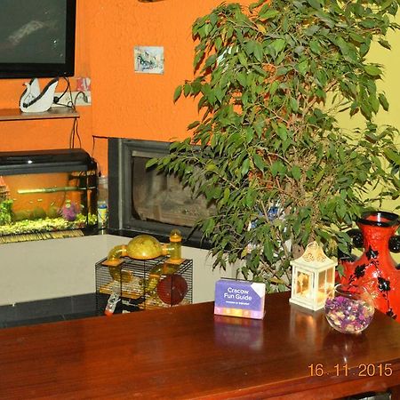 Honey Hostel Cracovie Extérieur photo
